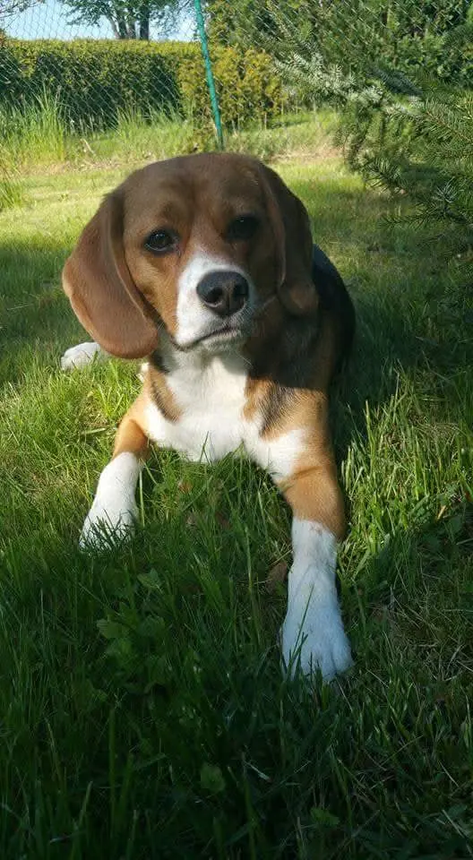 Bild von Lio