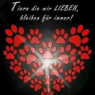 Condolence image of Monika Kunigk