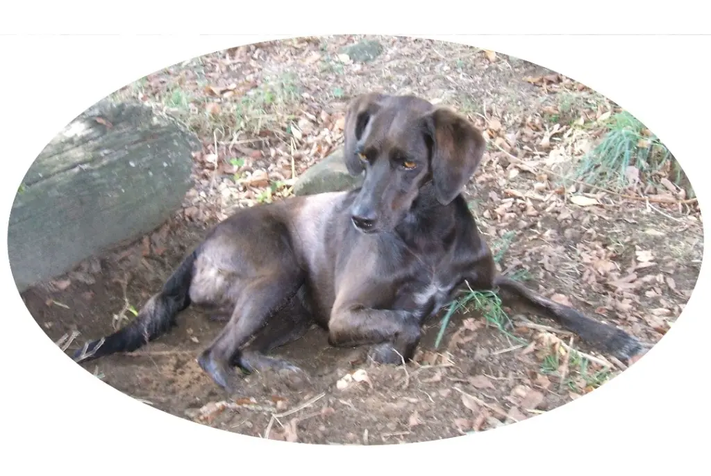 Condolence image of Erika Cremer