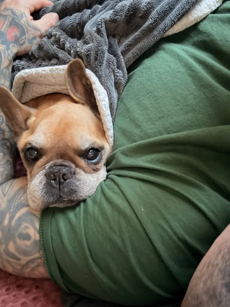 Image from Balou