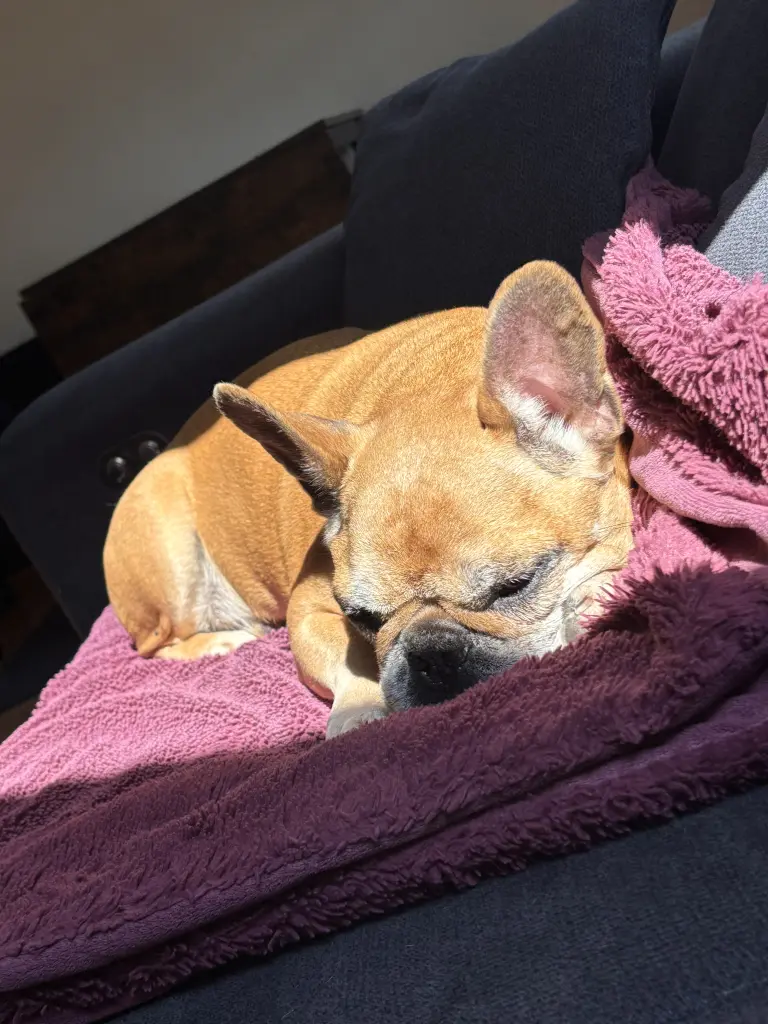 Image from Balou