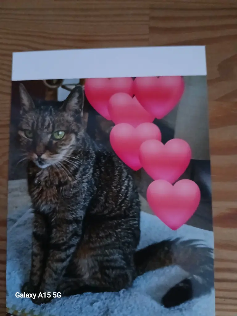 Bild von Mori