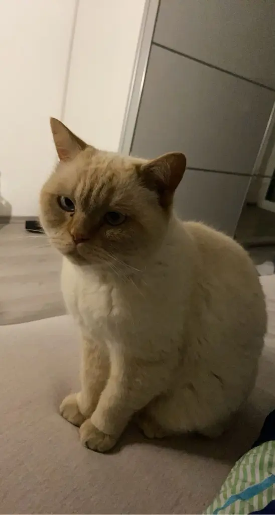 Bild von Max
