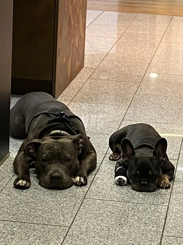 Image from Stitch