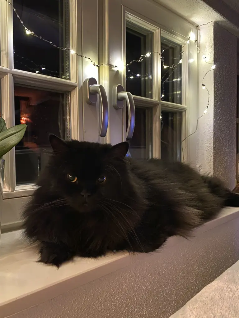 Condolence image of Susann