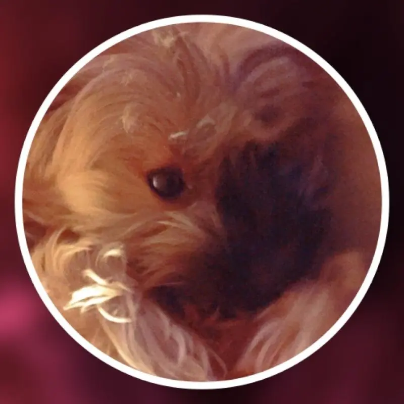 Condolence image of Sabrina 