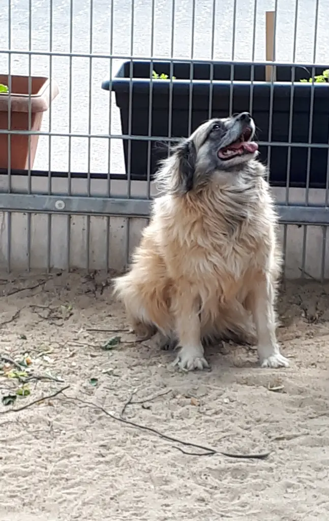 Meine kleine Mozartkugel