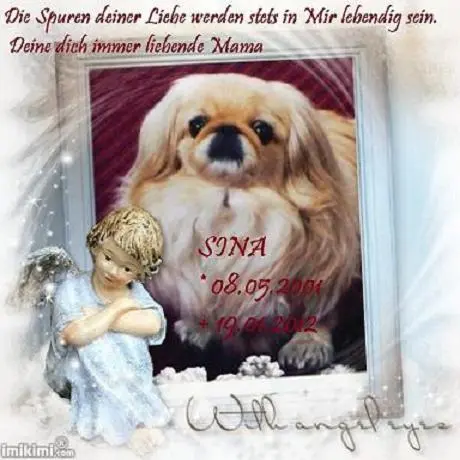 Image from ? meine entzückende kleine Sina ?