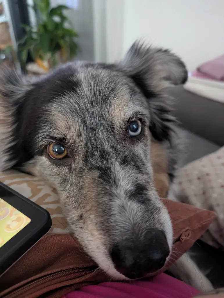Bild von Eiko