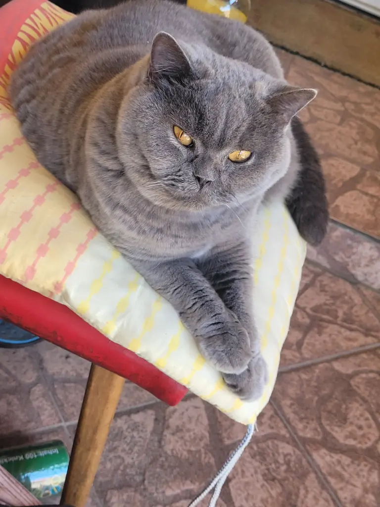 Bild von Janchen