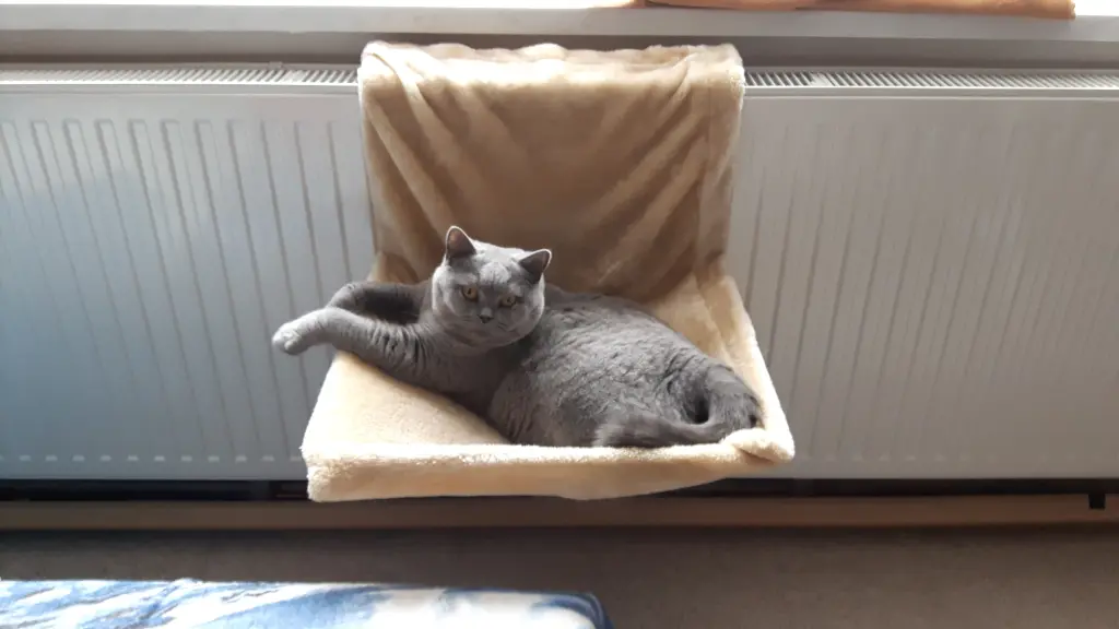 Bild von Janchen