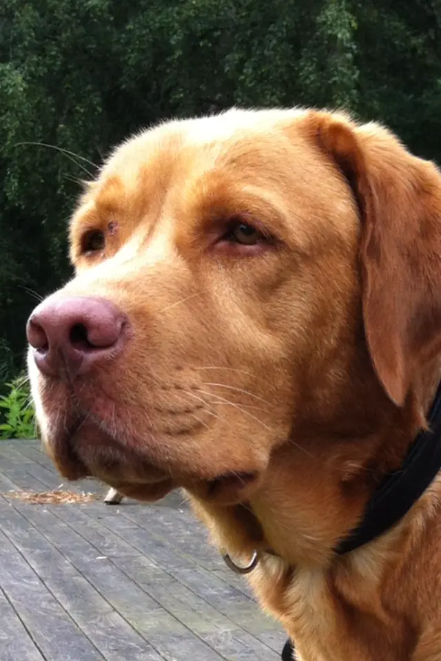 Bild von Jimmy