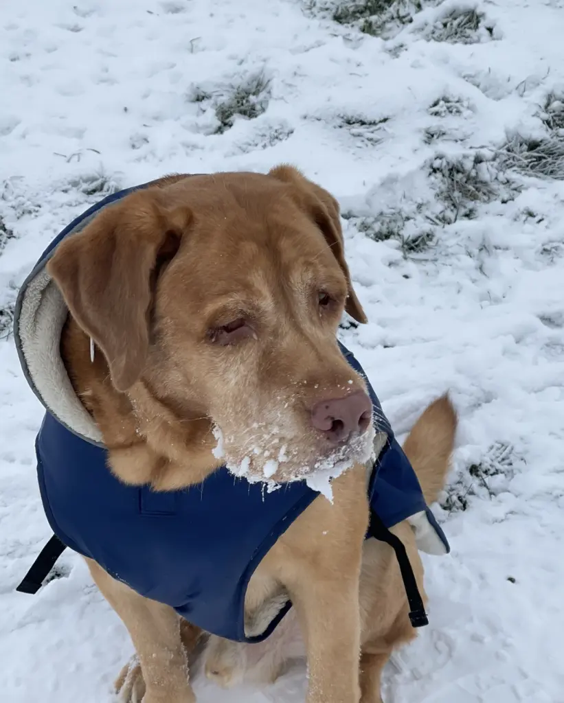 … im Schnee..