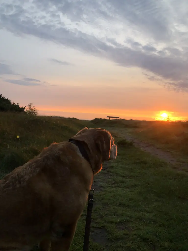 … beim Sonnenuntergang