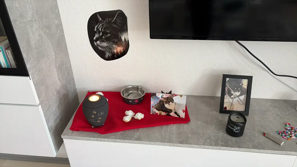 Bild von Lilly
