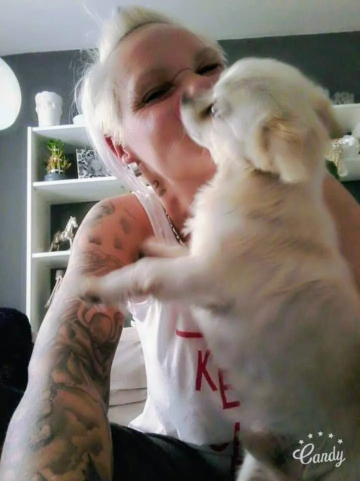 Bild von Bruno