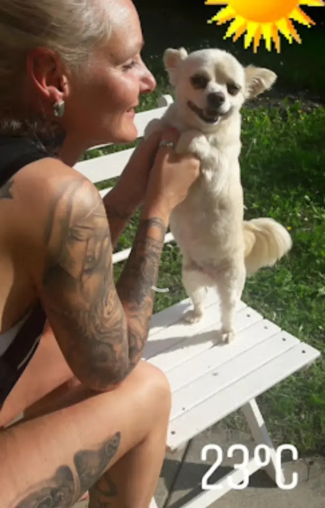 Bild von Bruno