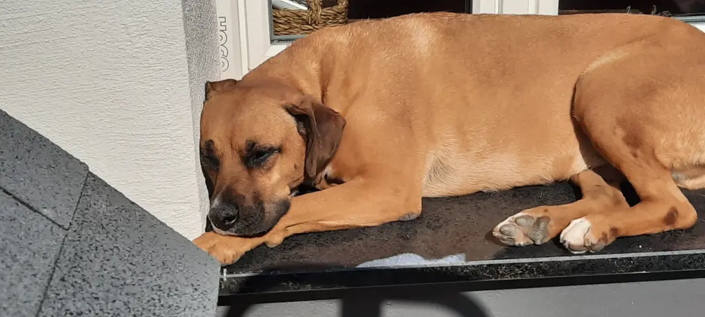 Bild von Clio