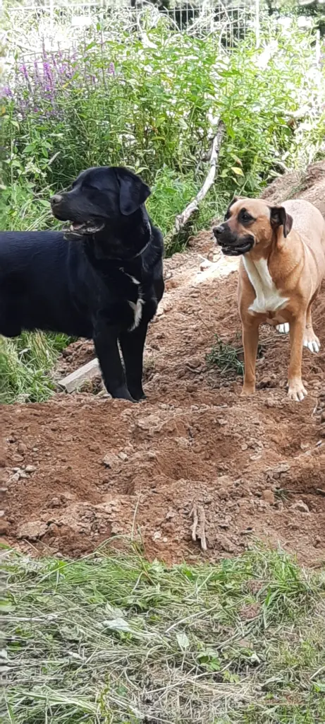 Bild von Clio