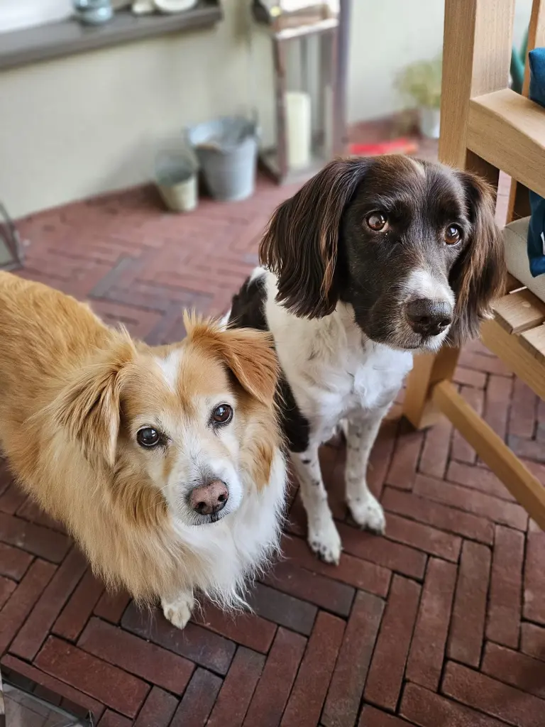 Best buddies 🩷🫶🏻