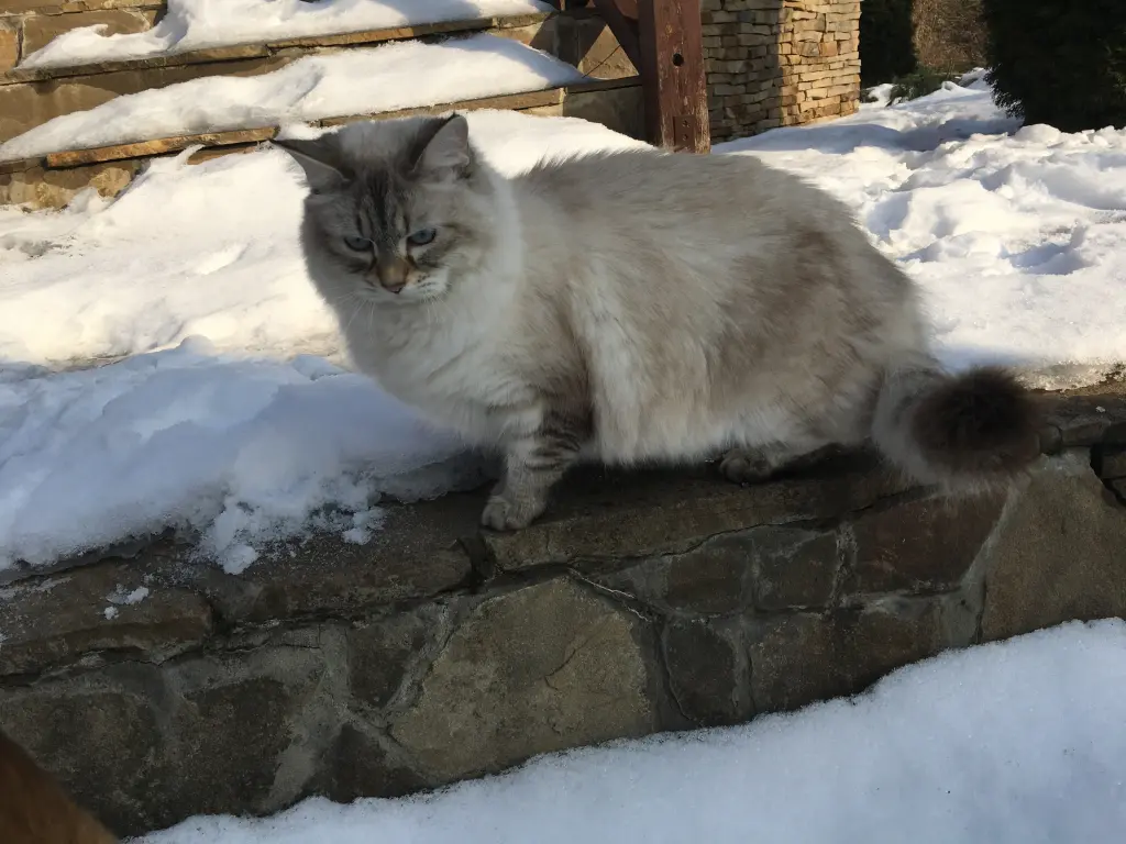Image from Eva