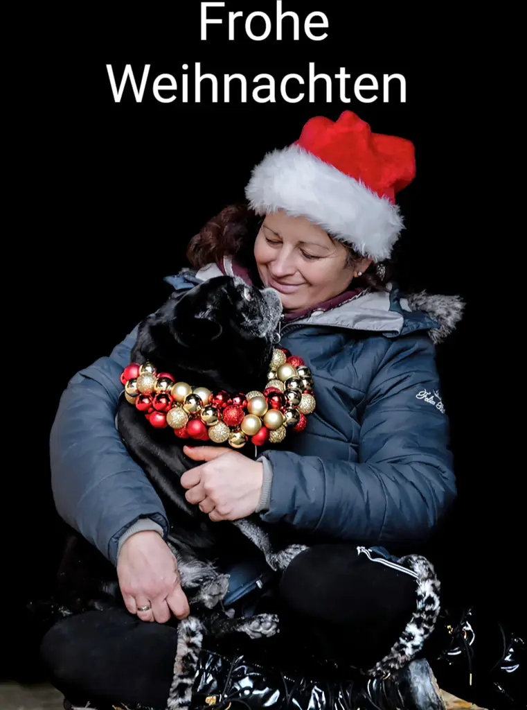 Bild von Frodo