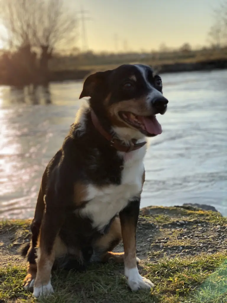 Bild von Apollo