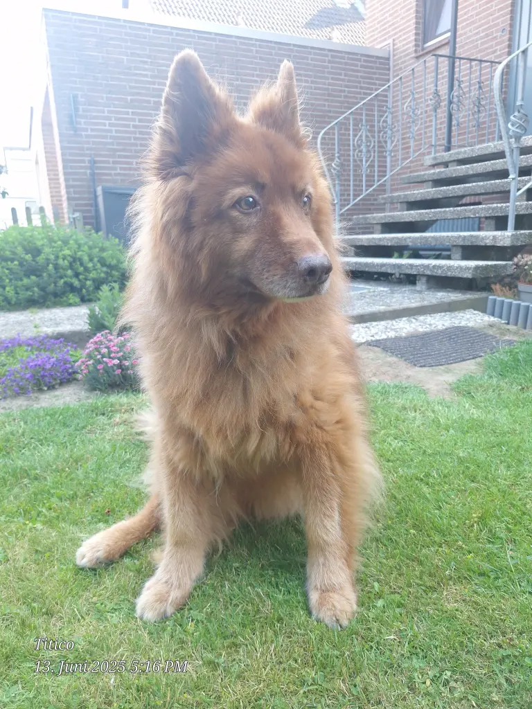 Bild von Tanoo