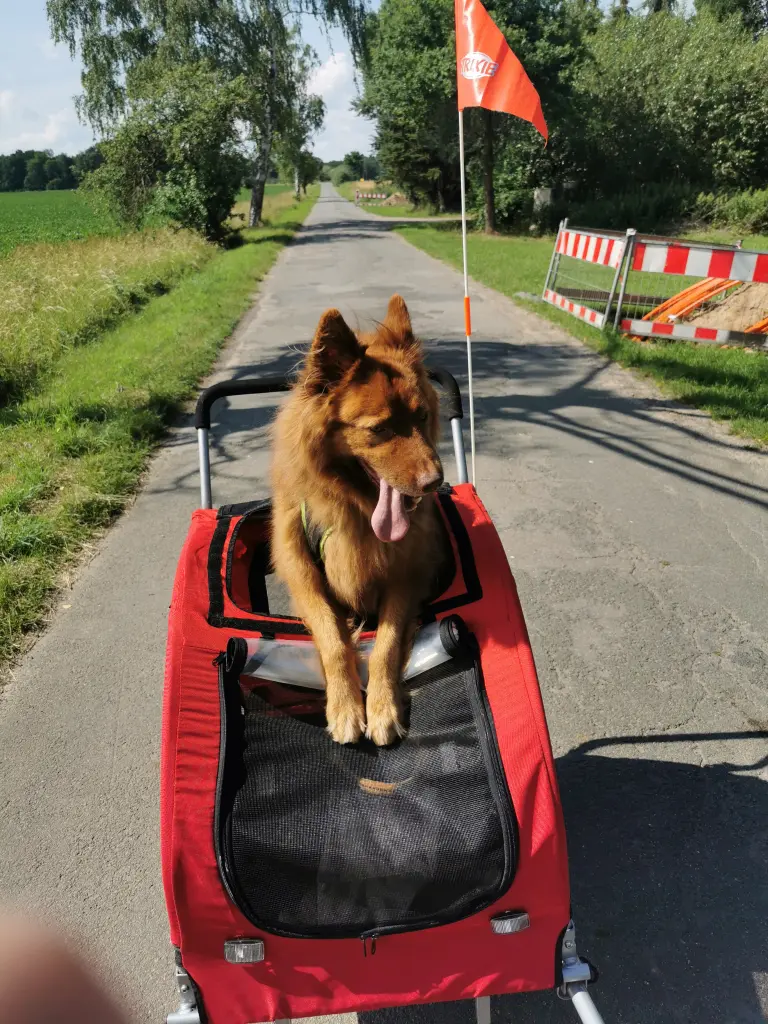 Bild von Tanoo