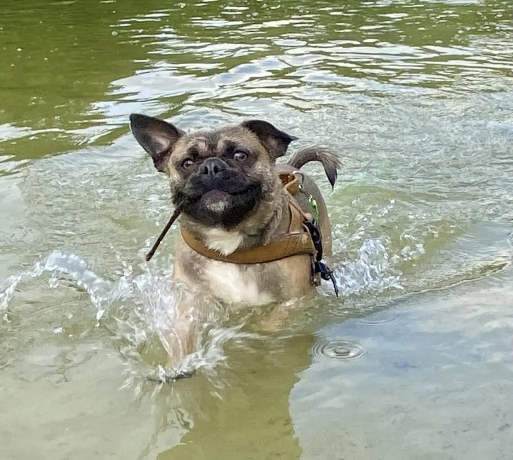 Wasser deine Leidenschaft