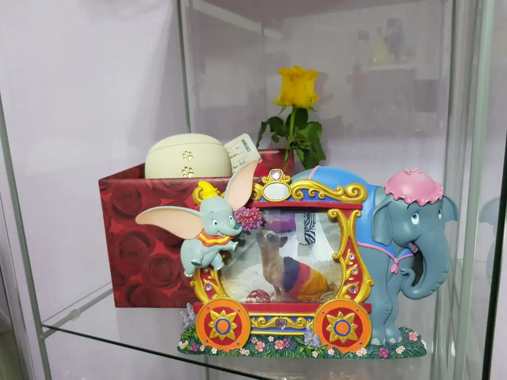 Image from Taila Tinkerbell