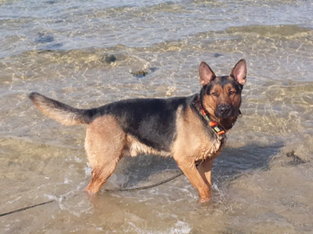 Bild von Meilo