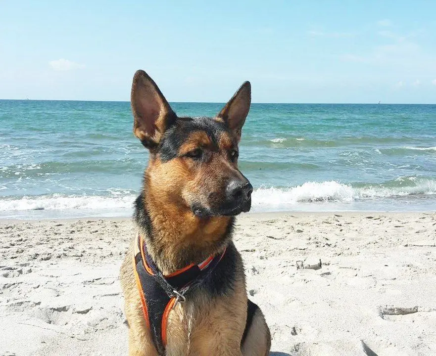 Bild von Meilo