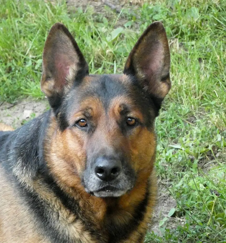 Bild von Meilo