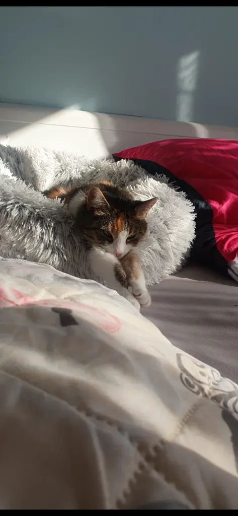 Bild von Bounty
