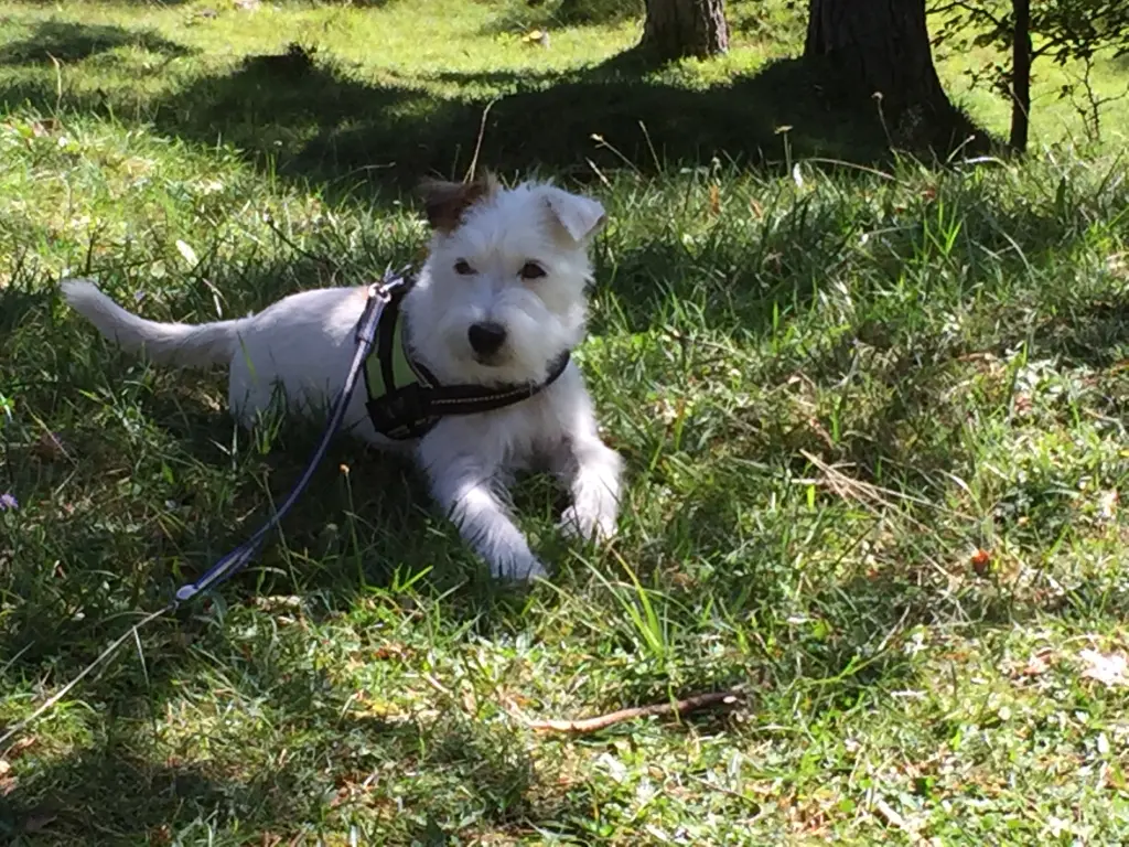 Andachtsbild von Karin
