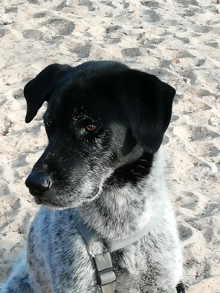 Spaß am Strand.