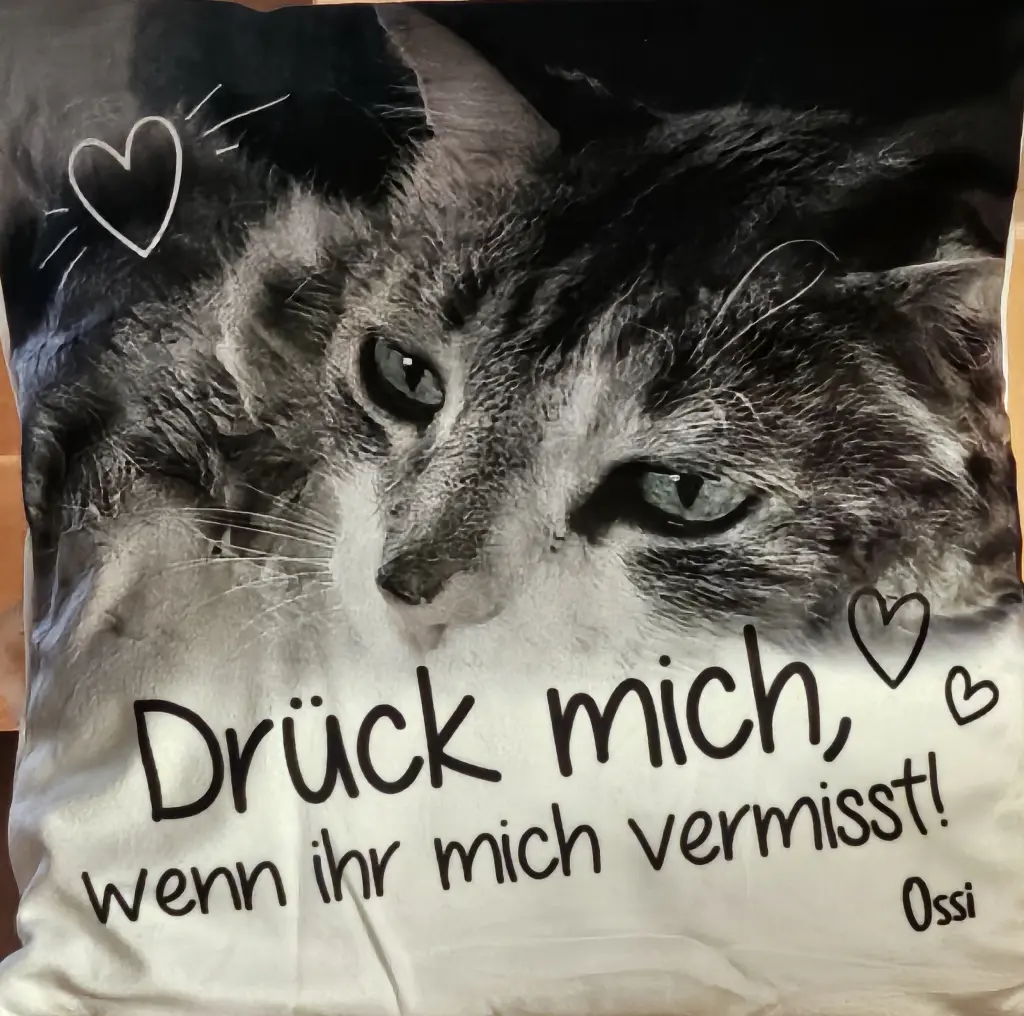 Bild von Oskar