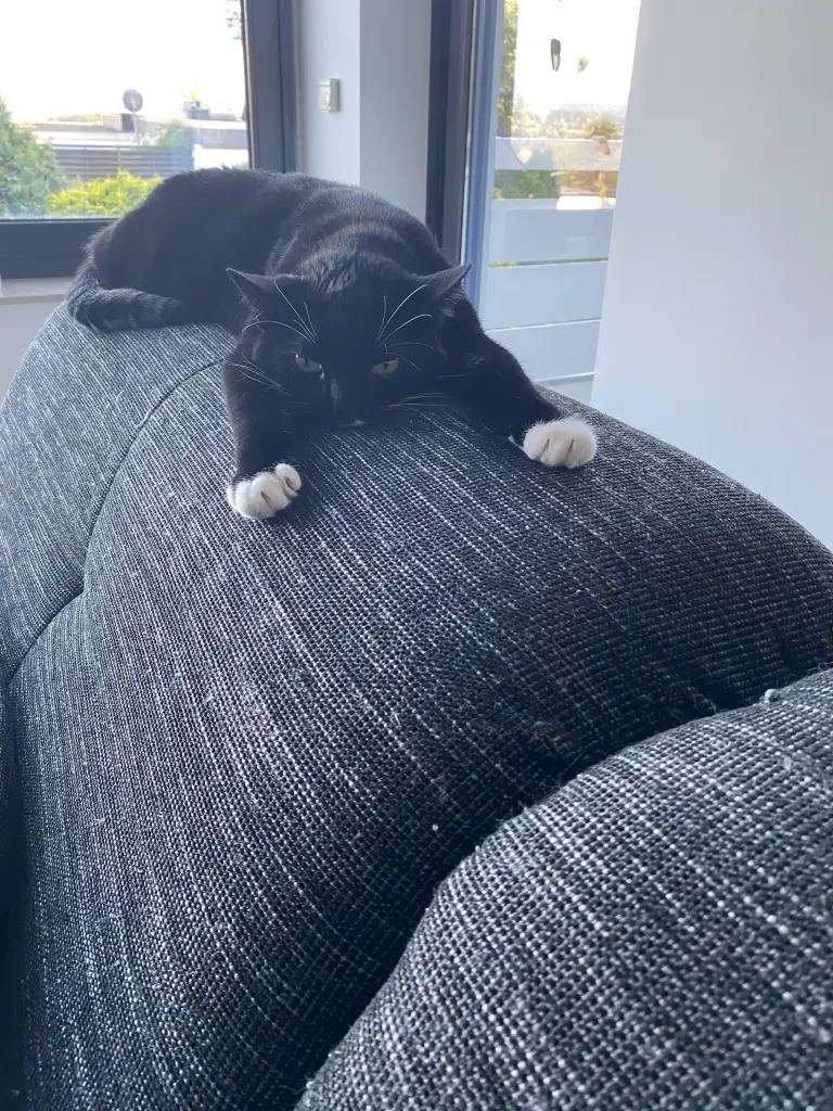 Bild von Lilly