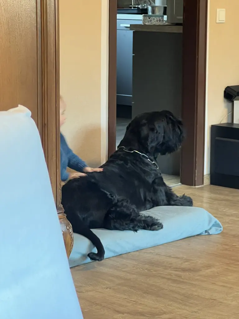 Bild von Oskar