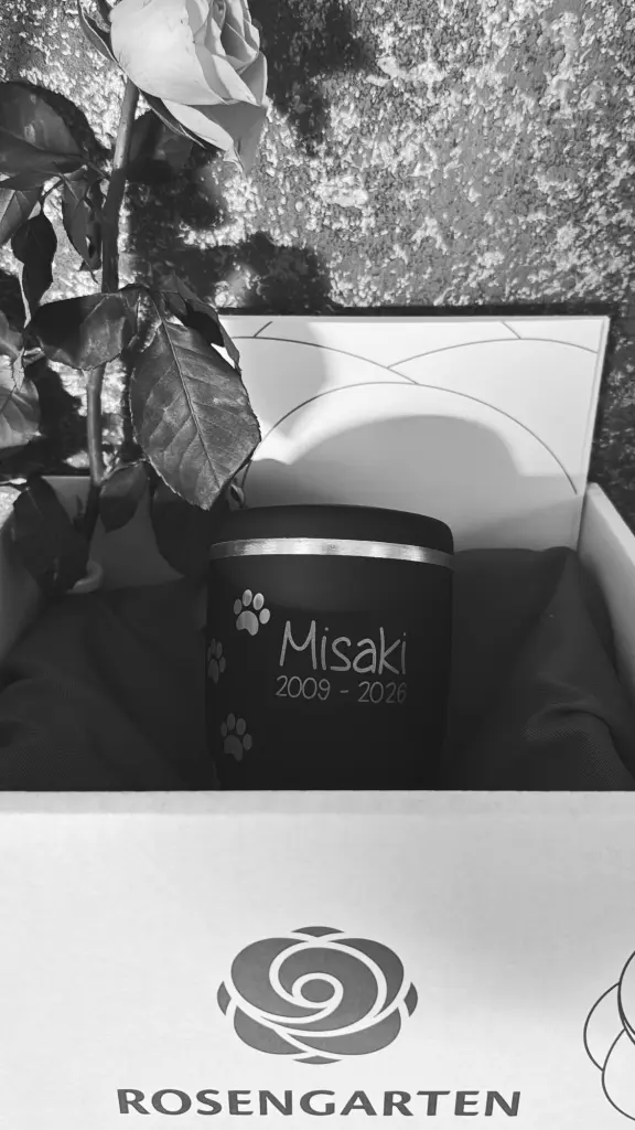 Bild von Misaki