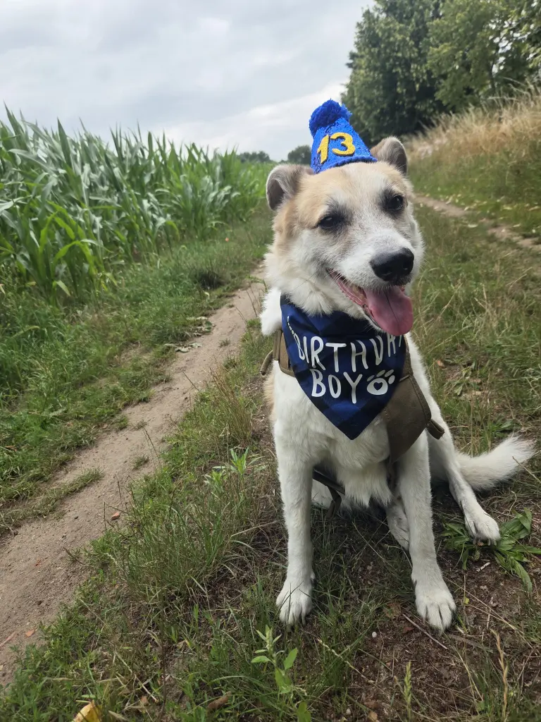 Dein letzter Geburtstag