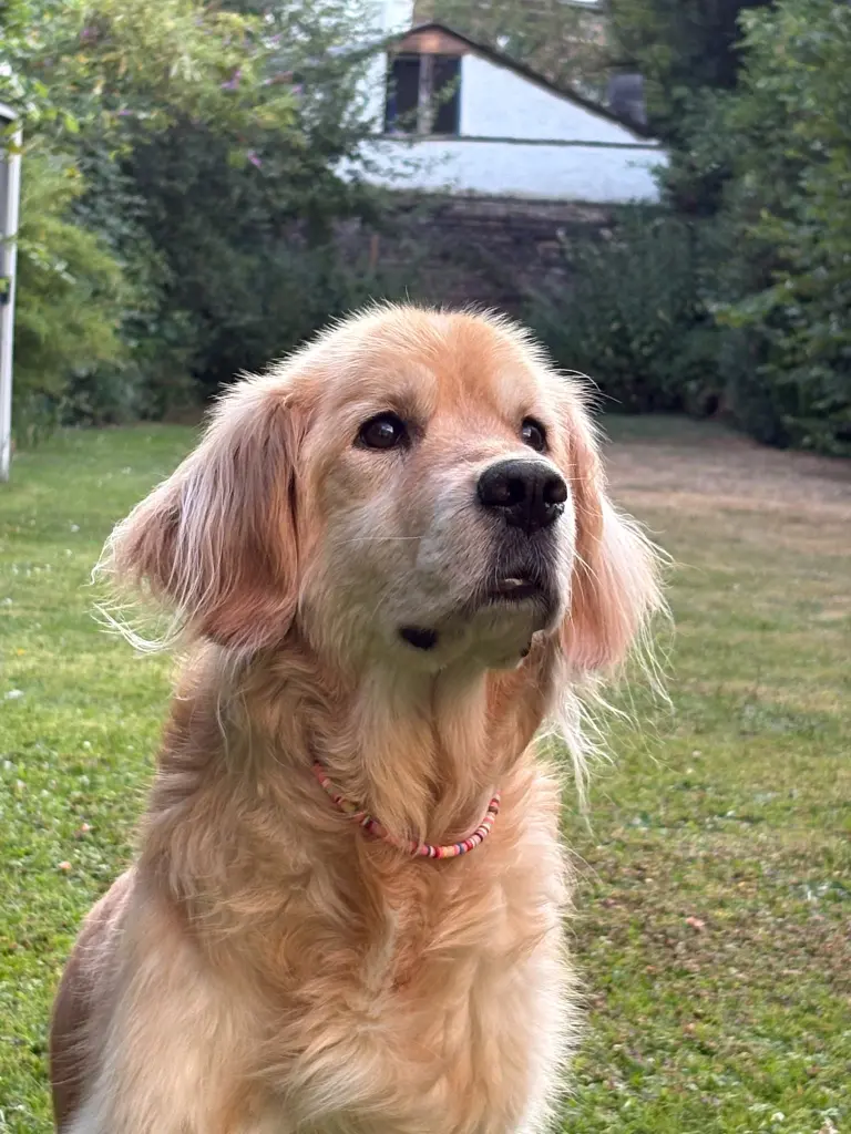 Bild von Leni