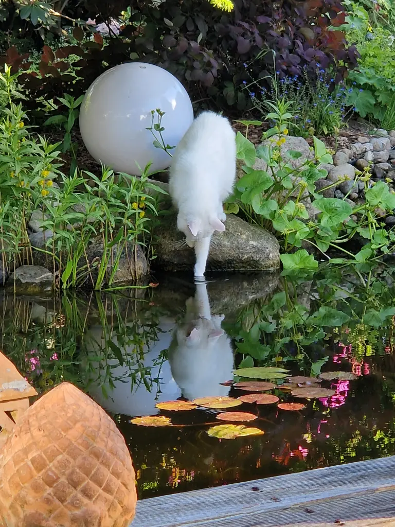Bild von Lüt