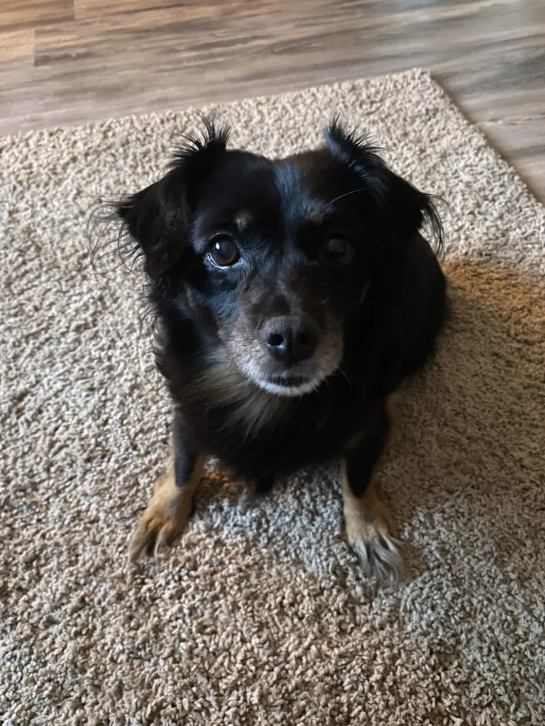 Image from Zoey