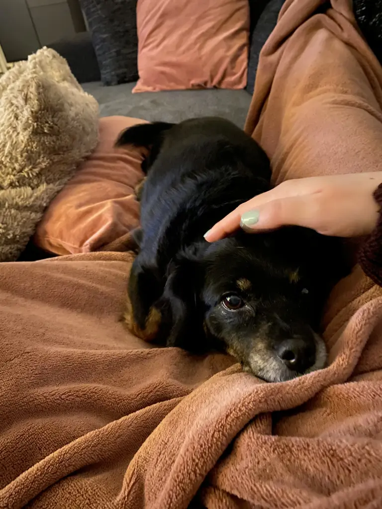 Image from Zoey