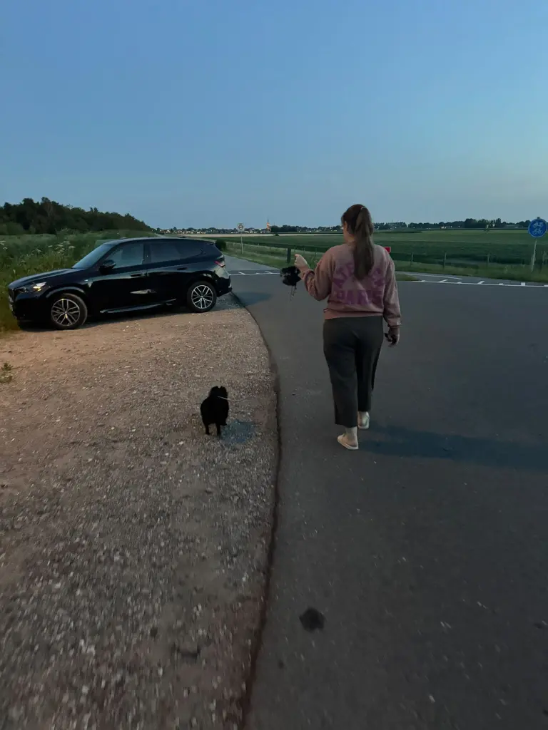 Image from Zoey