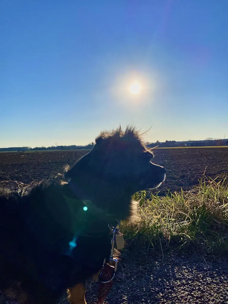 Image from Zoey