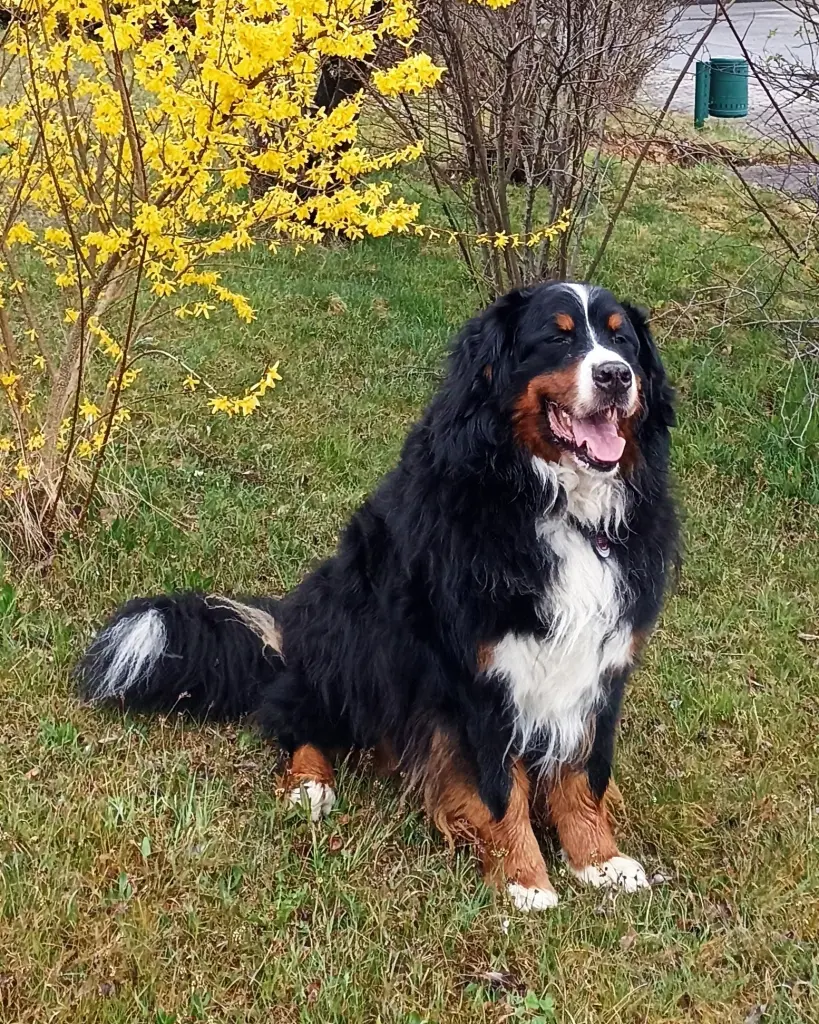 Andachtsbild von Elke Schäfer