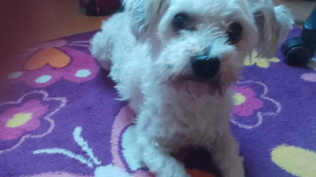 Bild von Max
